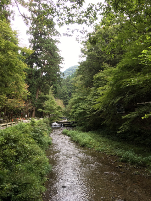 B4DE040B-EE52-4B88-B7B6-1D439B355F61.jpg